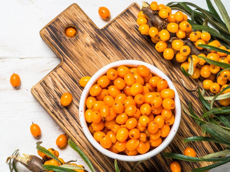Discover our powerhouse ingredient: Sea-Buckthorn