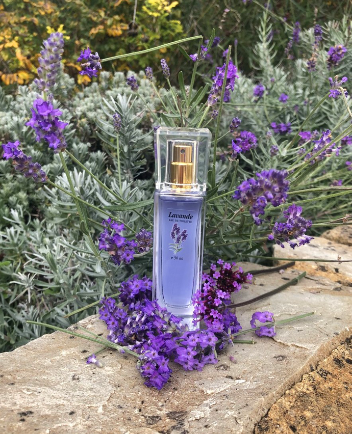 Lavande - Like no Other - EDT 30ml